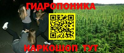кокс Пугачёв